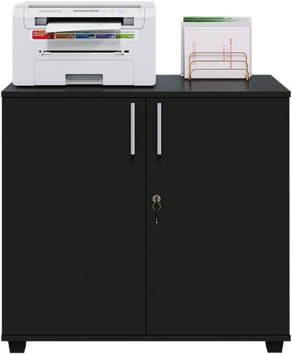 Modern 2-Door Wooden Cabinet