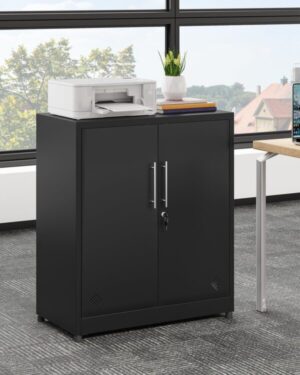 Modern 2-Door Wooden Cabinet